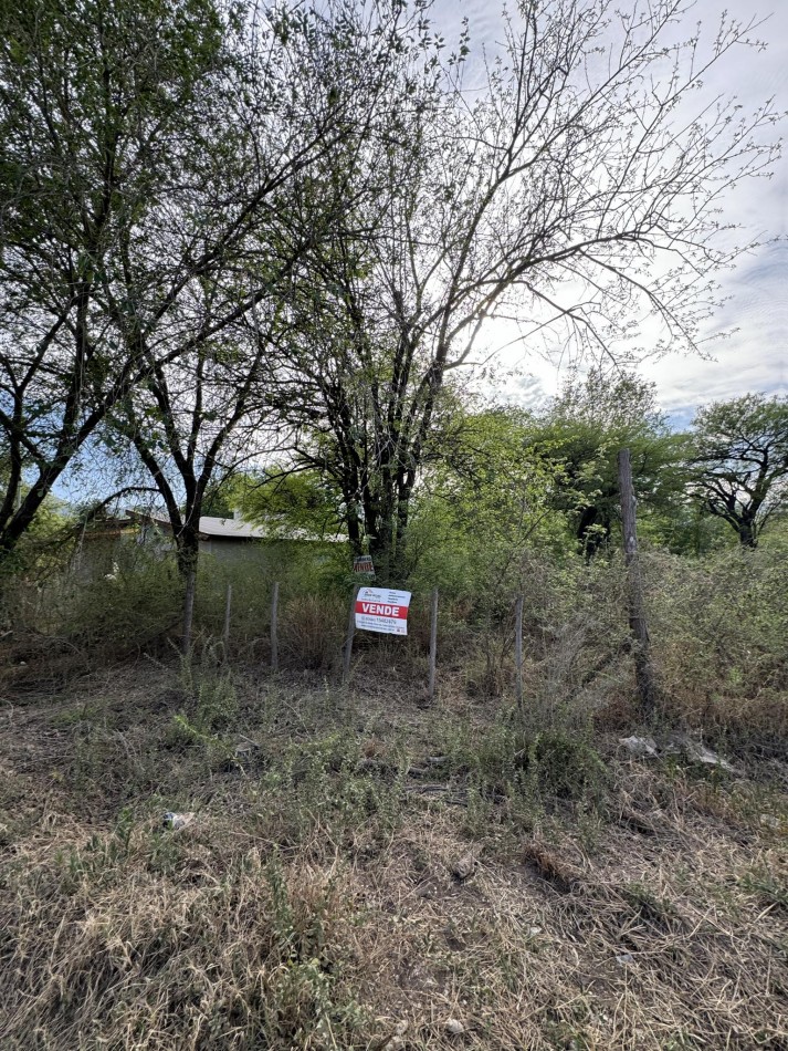 LOTE DE 480m2- Servicios- Barrio La Hungria
