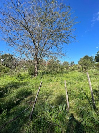 TERRENO EN SANTA MONICA A UNA CUADRA DEL RIO