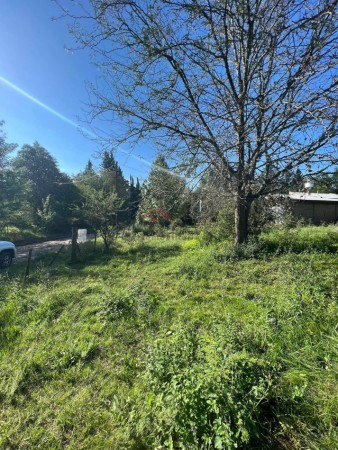 TERRENO EN SANTA MONICA A UNA CUADRA DEL RIO