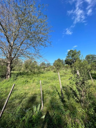 TERRENO EN SANTA MONICA A UNA CUADRA DEL RIO