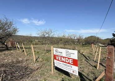 TERRENOS EN EL PARADOR DE LA MONTAÑA